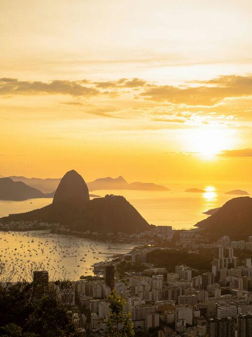 Сахарная голова