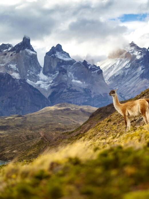 Торрес-дель-Пайне