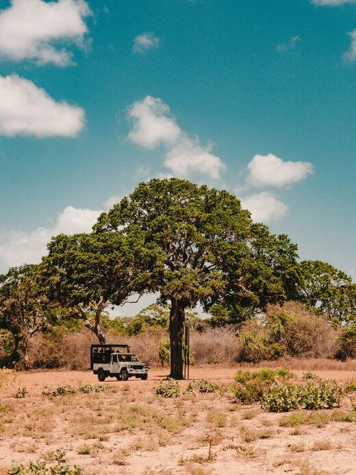 Национальный парк Яла