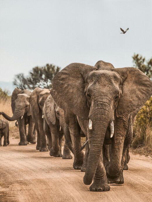 Национальный парк Удавалаве