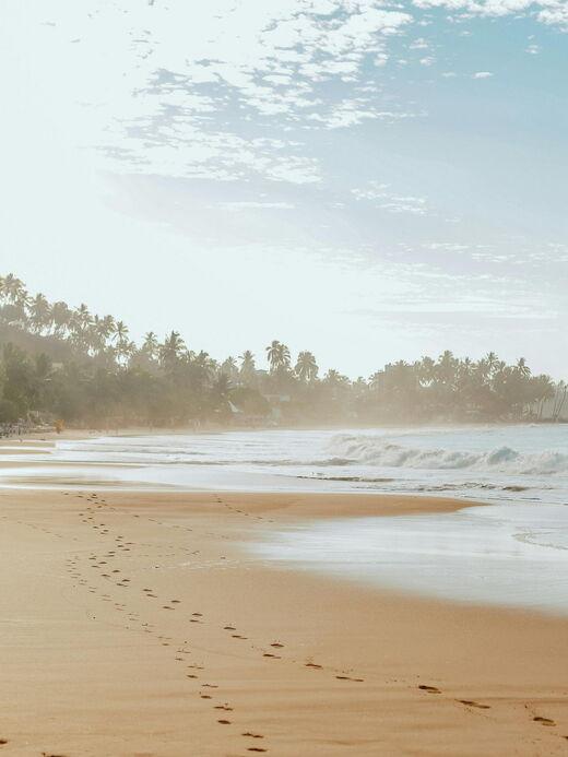 Пляж Мирисса и наблюдение за китами