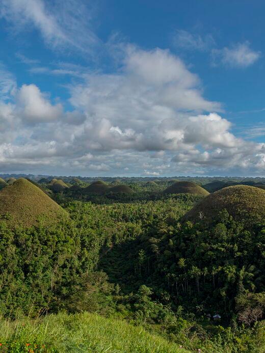 Шоколадные холмы