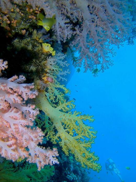 Остров Баликасаг