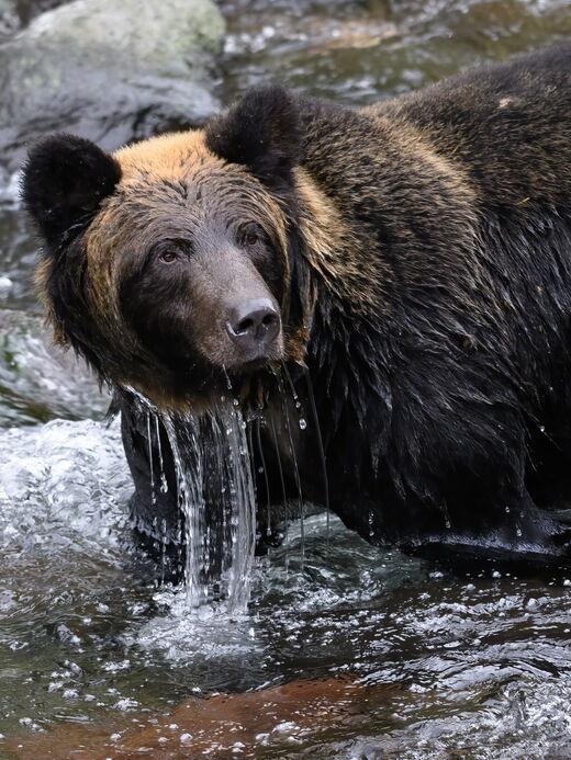 Московский зоопарк