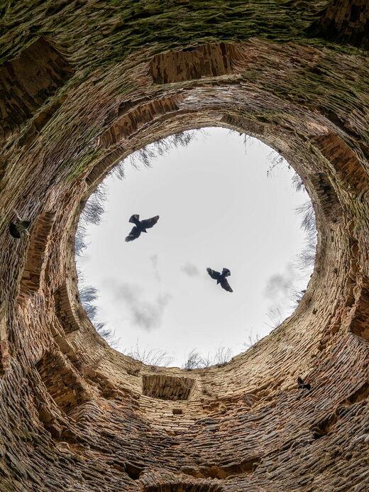 Изборская крепость