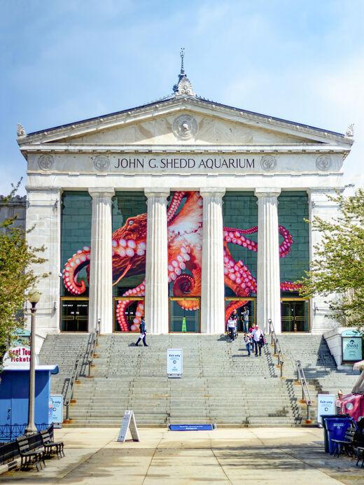 Аквариум Шедда